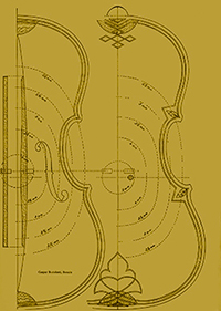 Violina nacrt tijela